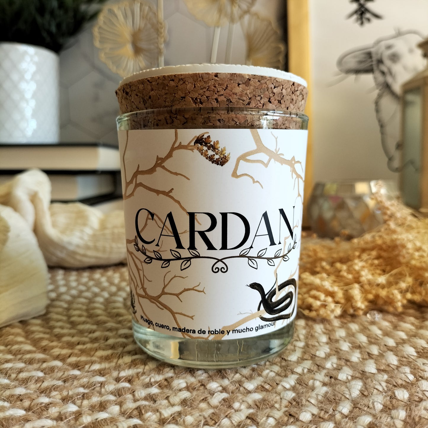 Cardan